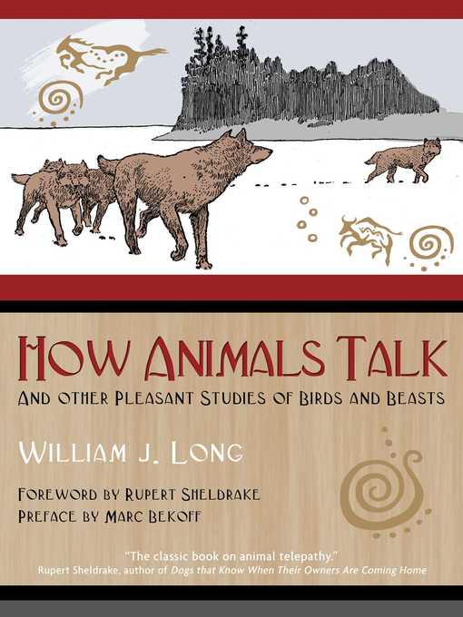 Title details for How Animals Talk by William J. Long - Wait list